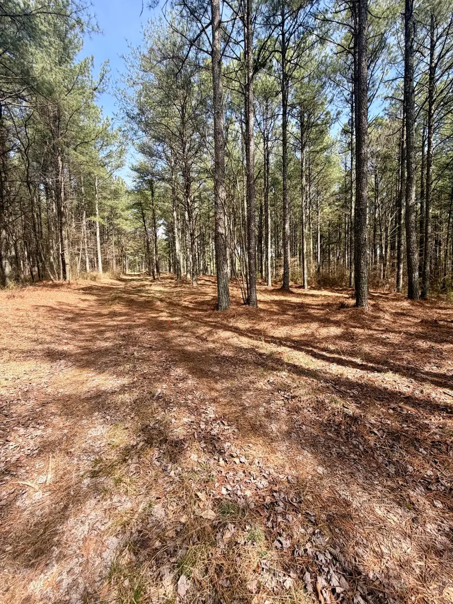 2076 Meditation Lane, Guild, TN 37340 - #2