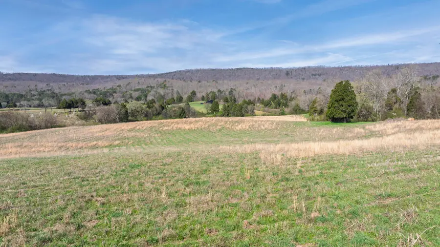 4637 Ideal Valley Road, Spring City, TN 37381 - #3