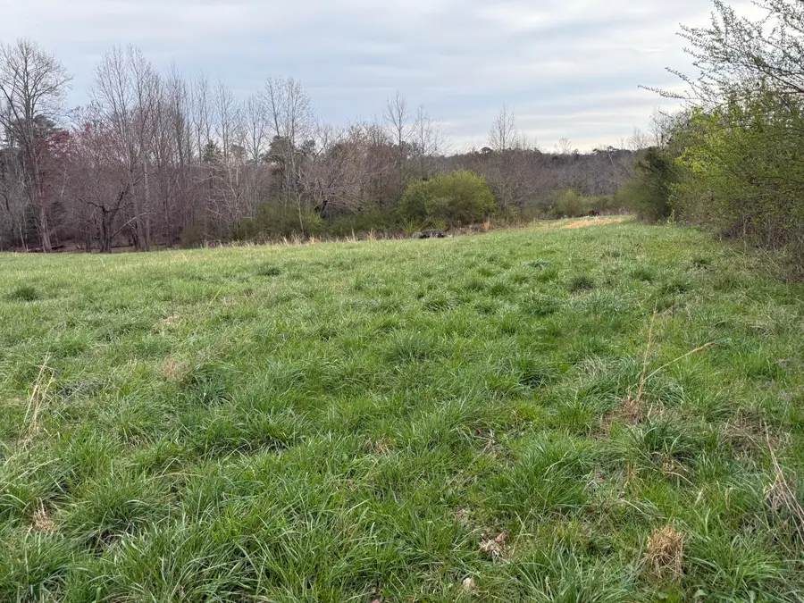 17.74 Ac Co Rd 784, Flat Rock, AL 35966 - #2