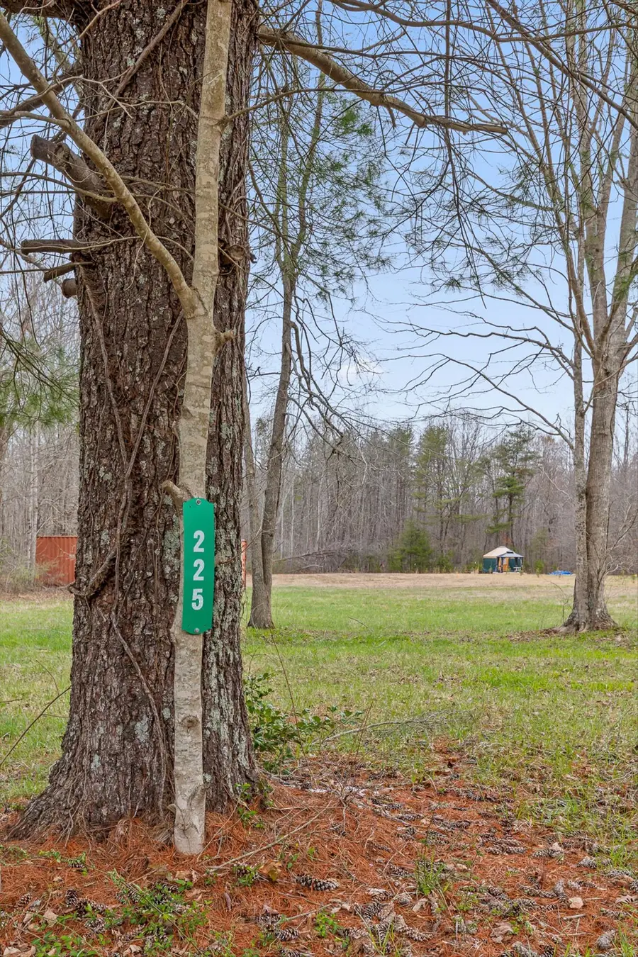 225 Prater Road, Pikeville, TN 37367 - #2