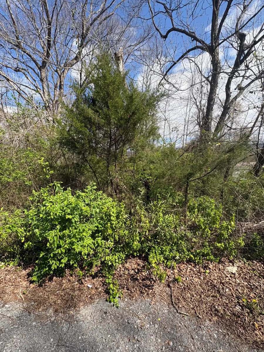 113 Alabama Avenue, Etowah, TN 37331 - #2