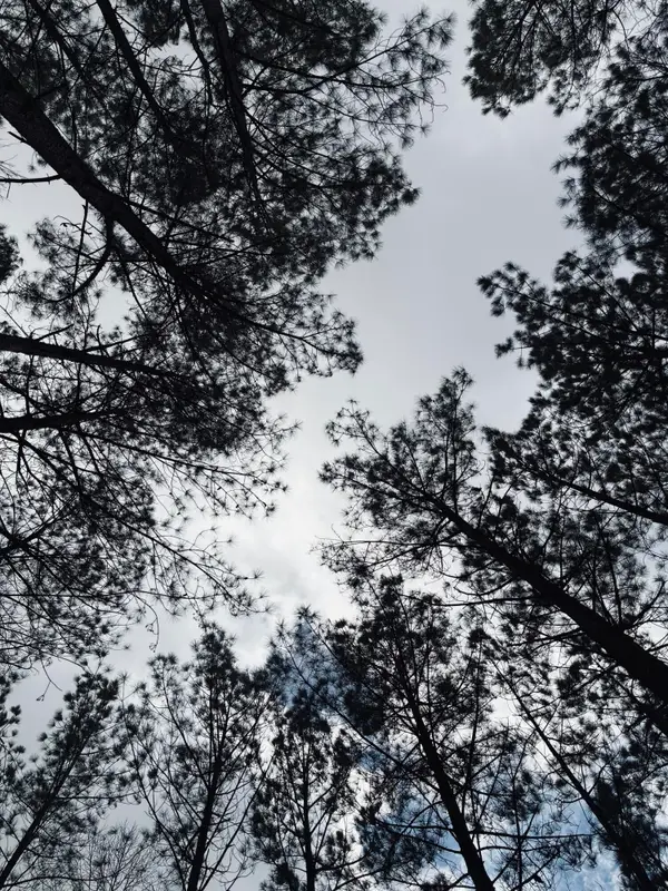 215 Honeybee Court #Jf-407, Jasper, TN 37347