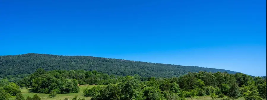 720 Sells Lane, Trenton, GA 30752 - #3