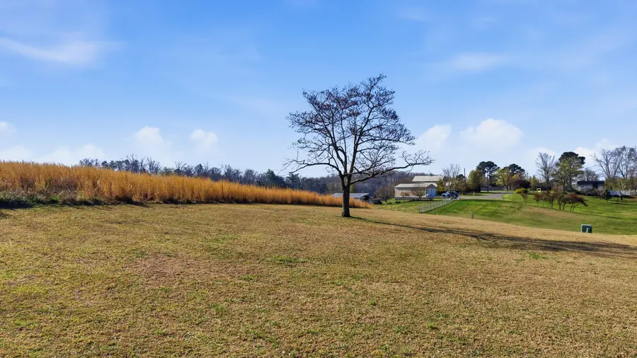 207 Dogwood Lane, Spring City, TN 37381 - #3