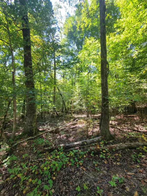 0 Fire Tower Road, Cleveland, TN 37323