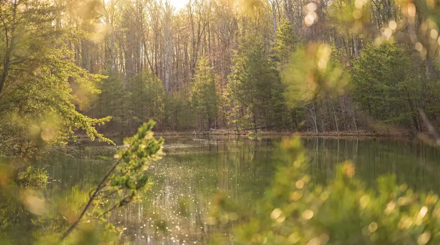 0 Bob Cat Trail, Dunlap, TN 37327 - #2