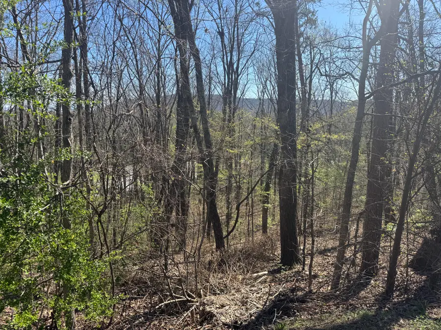 Lot 22 Stoney Point Circle, Rocky Face, GA 30740 - #2