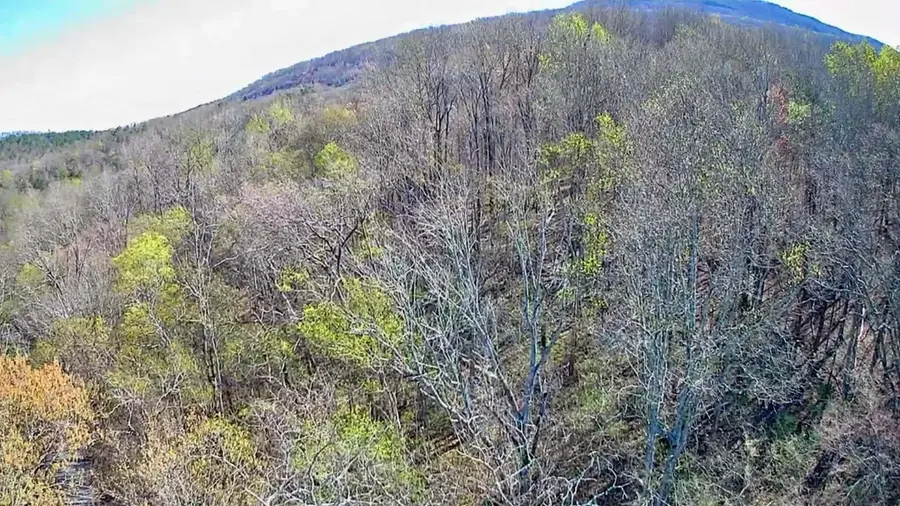 0 F Graham Road, Dunlap, TN 37327 - #2