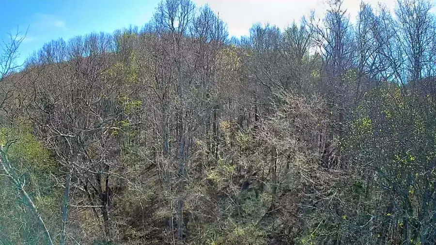 0 F Graham Road, Dunlap, TN 37327 - #3