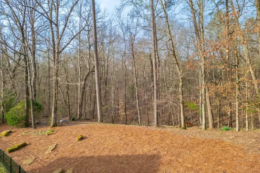 924 Traditions Drive, Chattanooga, TN 37415 - #3