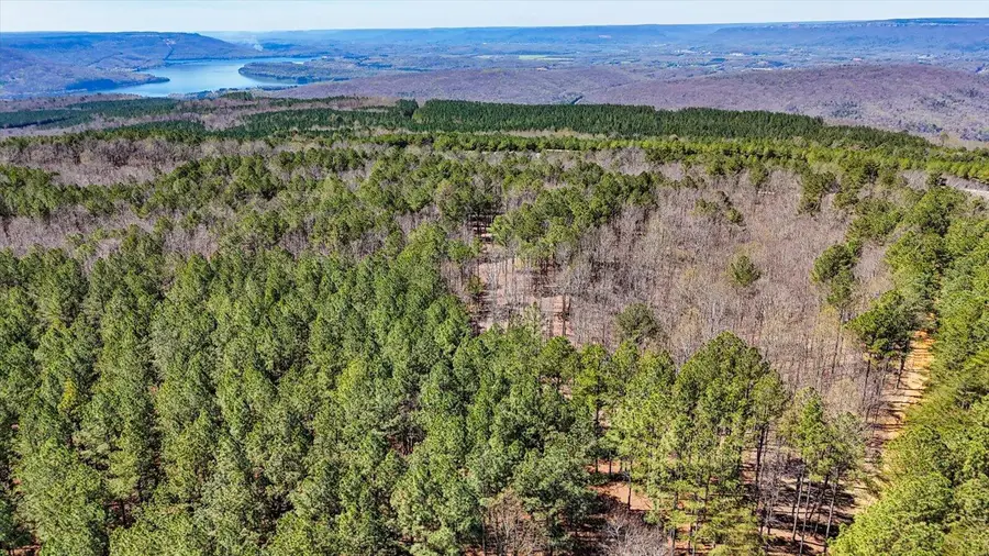 0 Slow Time Street, Guild, TN 37340 - #3