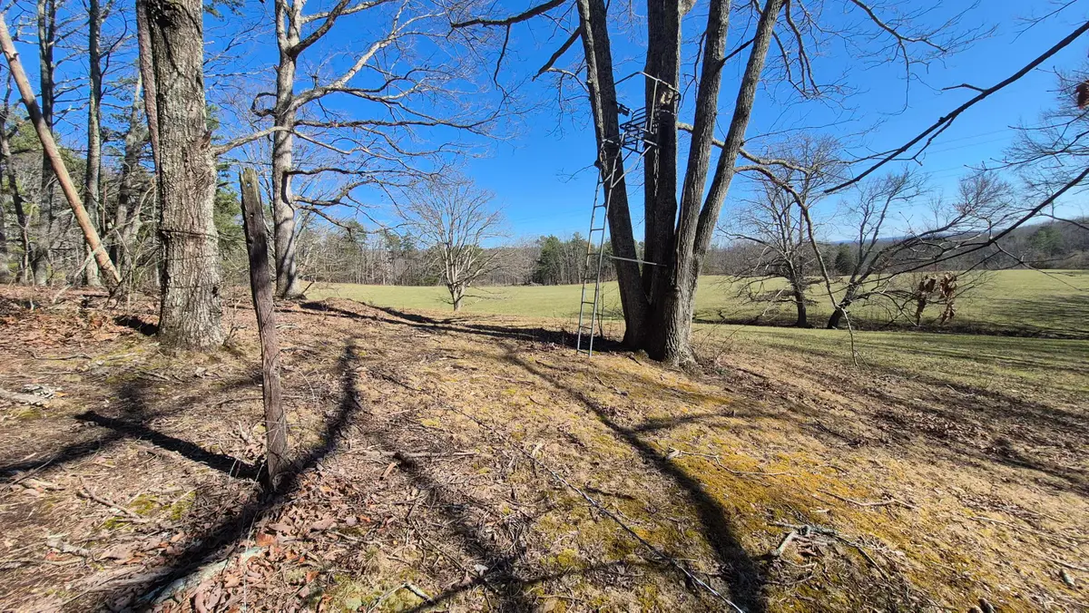 Lot 61 Teludachee Trail, South Pittsburg, TN 37380 - #1