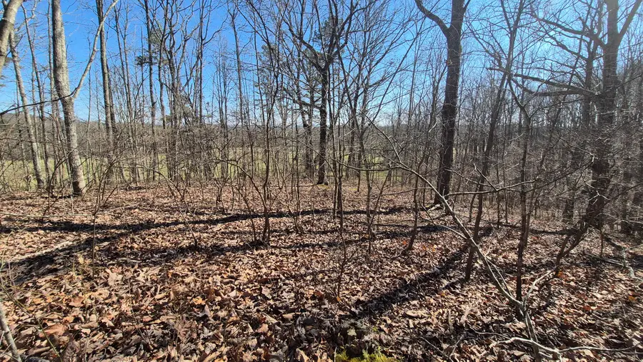 Lot 61 Teludachee Trail, South Pittsburg, TN 37380 - #2