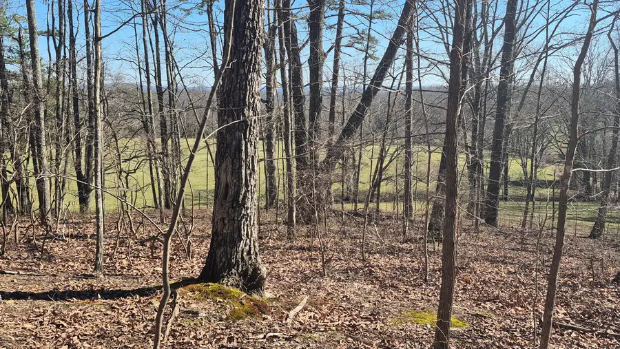 Lot 61 Teludachee Trail, South Pittsburg, TN 37380 - #3