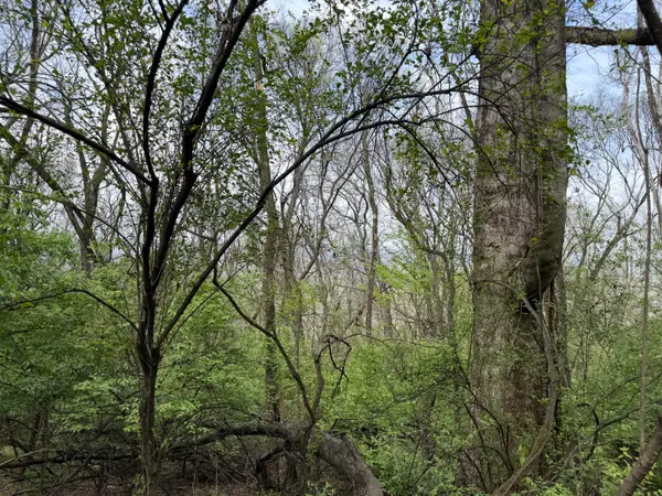 6583 Fairview Road, Hixson, TN 37343