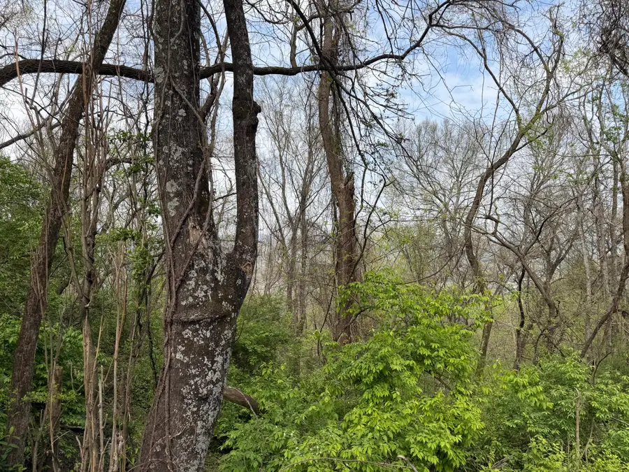 6583 Fairview Road, Hixson, TN 37343 - #3