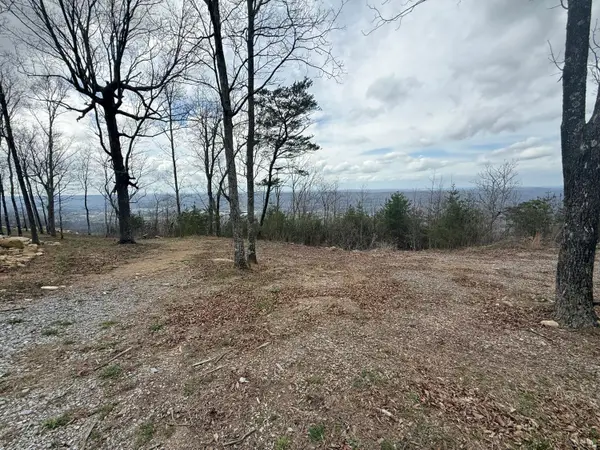 Lot 15 Scenic Highway, Rising Fawn, GA 30738