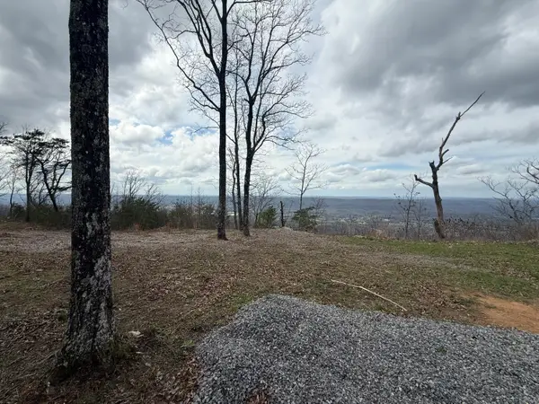 Lot 16 Scenic Highway, Rising Fawn, GA 30738