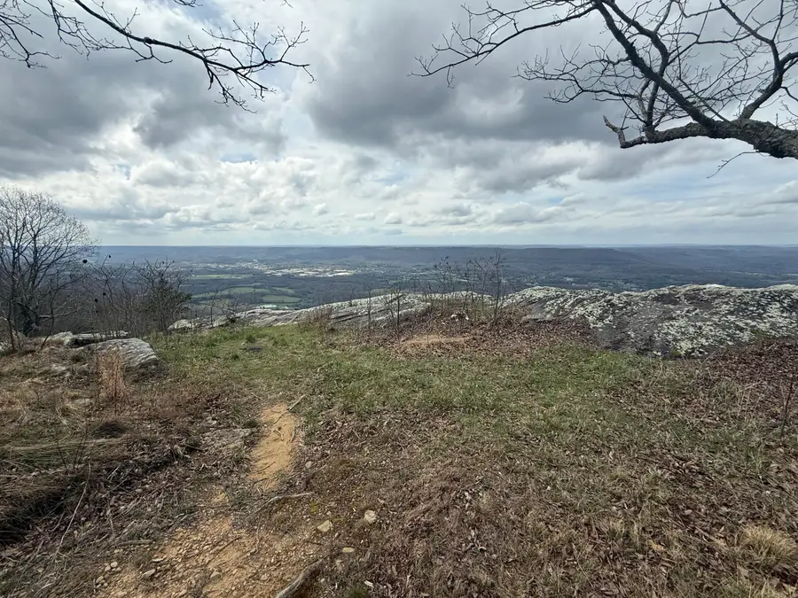 Lot 17 Scenic Highway, Rising Fawn, GA 30738 - #3