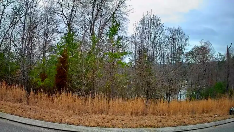 0 Spring Cove Lane #6, Spring City, TN 37381 - #2