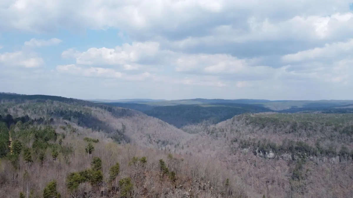 1211 Stooping Oak Road W, Dunlap, TN 37327 - #1