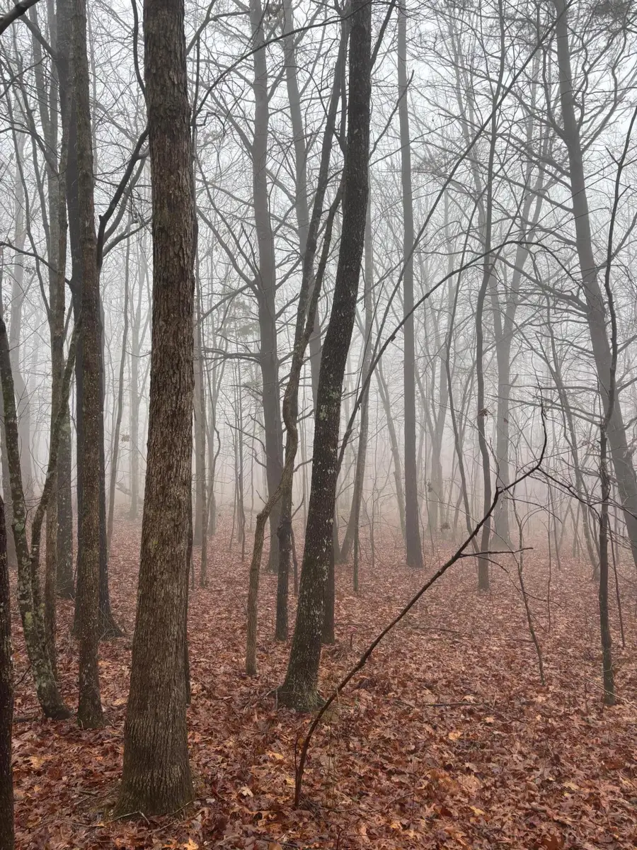 20 Wash Roberts Road #071, McMinnville, TN 37110 - #2