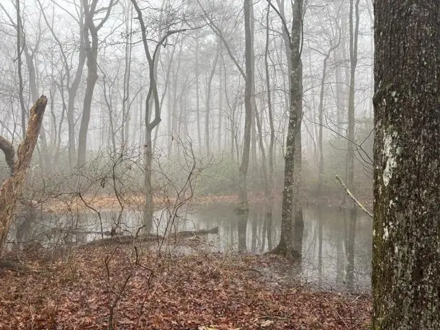 20 Wash Roberts Road #071, McMinnville, TN 37110 - #3