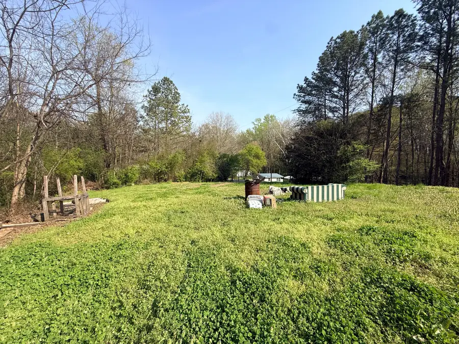 1629 Roosevelt Drive, Dalton, GA 30721 - #3