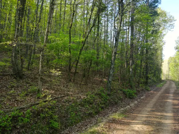 28 Acres County Road 917, Collinsville, AL 35961