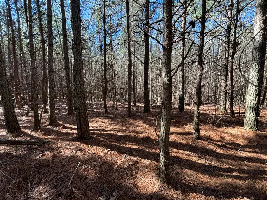 8 Fredonia Road, Dunlap, TN 37327 - #2