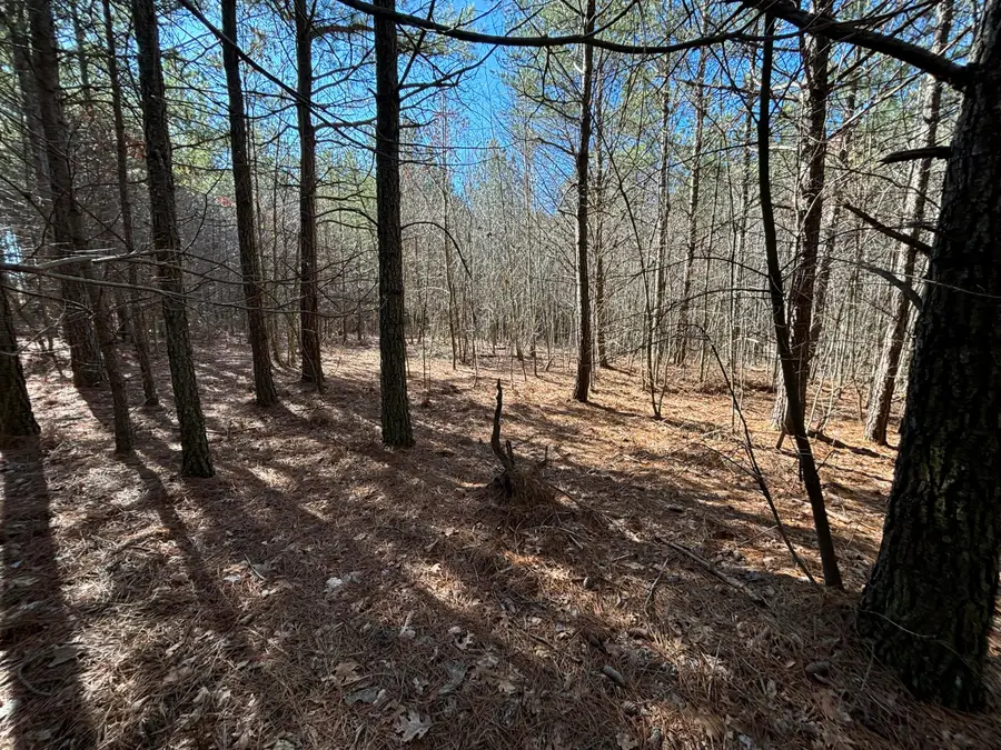 8 Fredonia Road, Dunlap, TN 37327 - #3