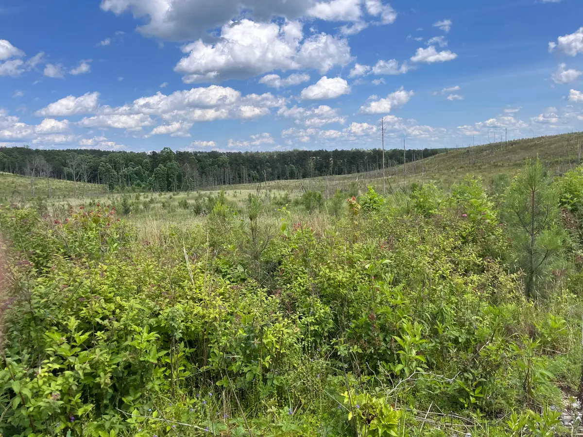 4 Hwy 399, Dunlap, TN 37327 - #1