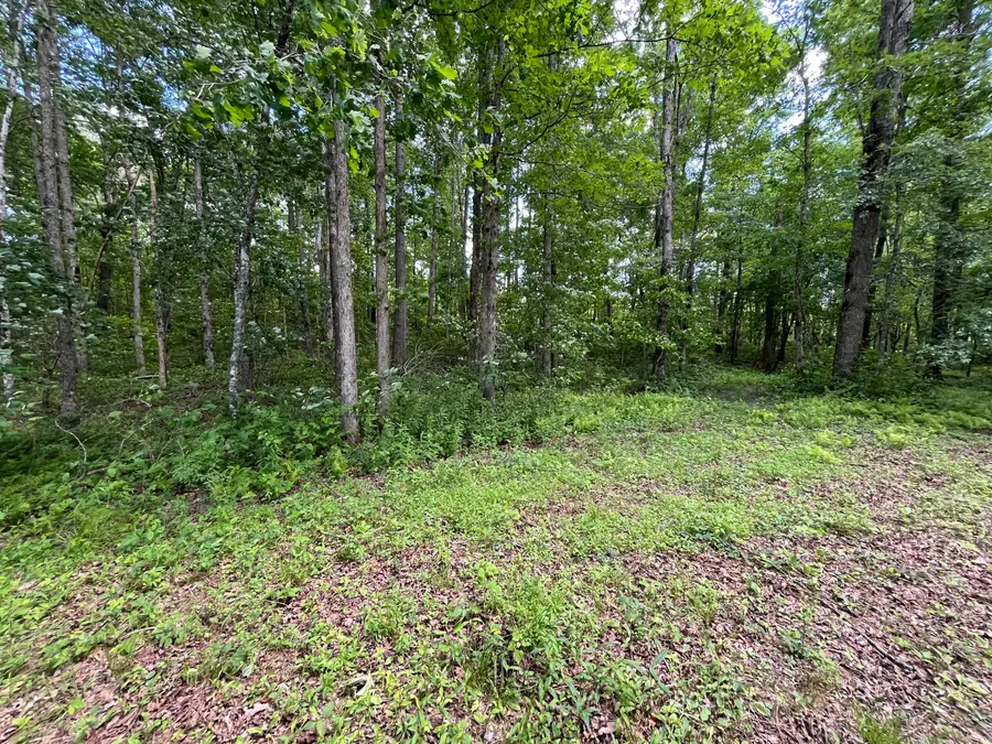 4 Hwy 399, Dunlap, TN 37327 - #3