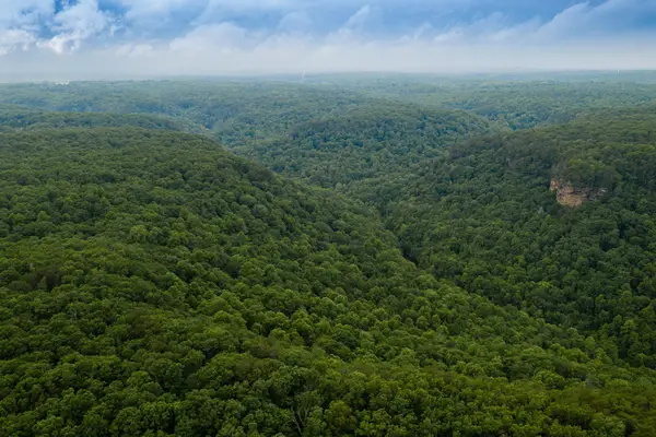 916 N Rim Drive #Nb1, Coalmont, TN 37313