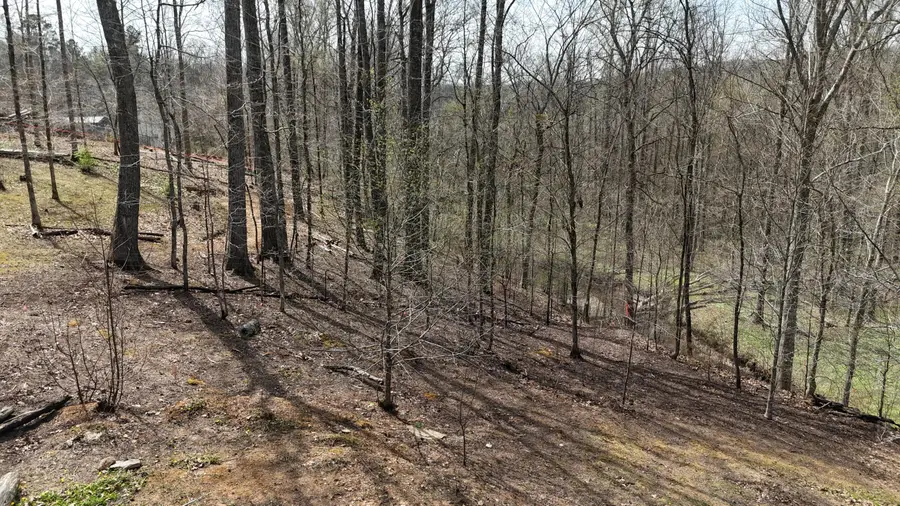 561 Geren Subdivision Lane, Decatur, TN 37322 - #2