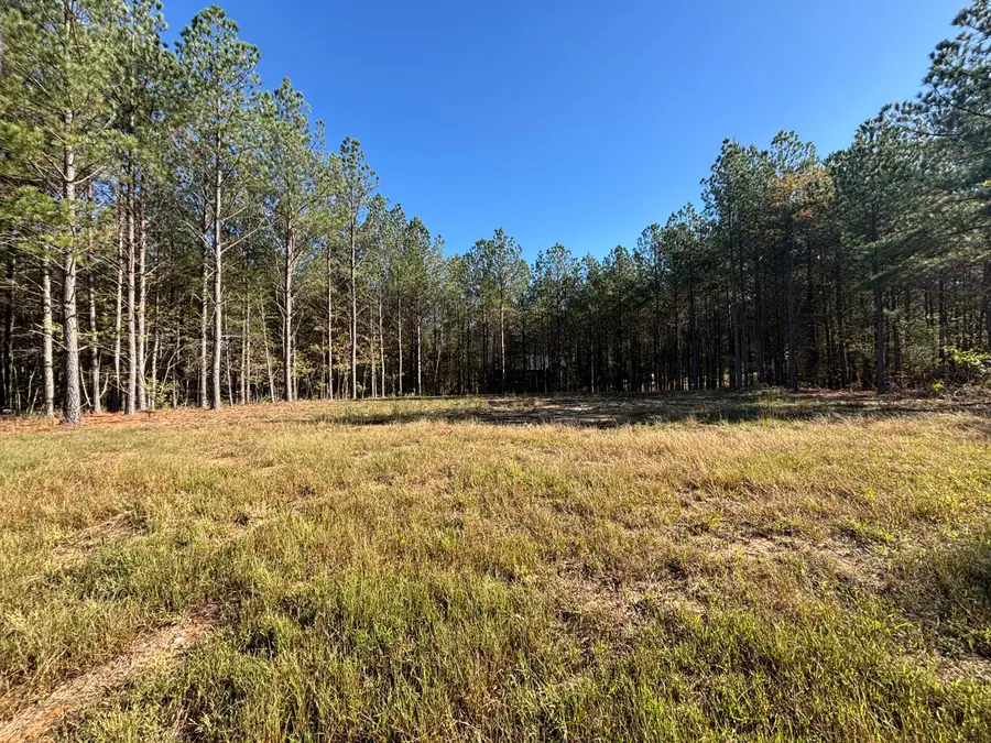 0 Boone Pass #212, Jasper, TN 37347 - #2