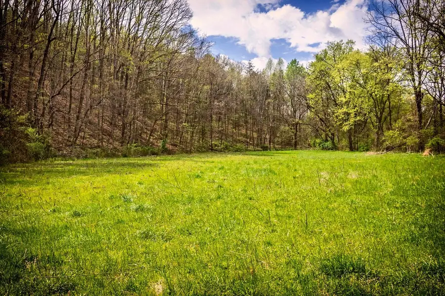 0000 Gothard Street, Sale Creek, TN 37373 - #3