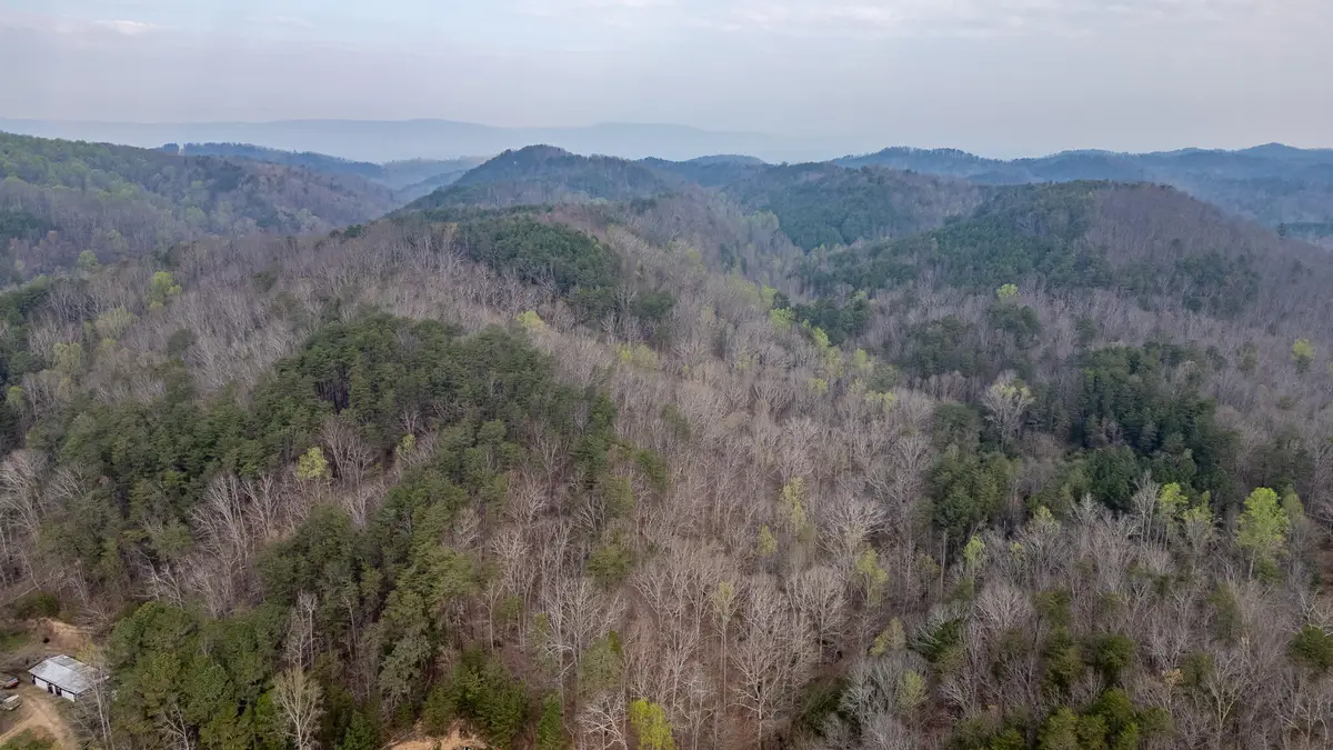 0 Castleberry Road, Lafayette, GA 30728 - #1