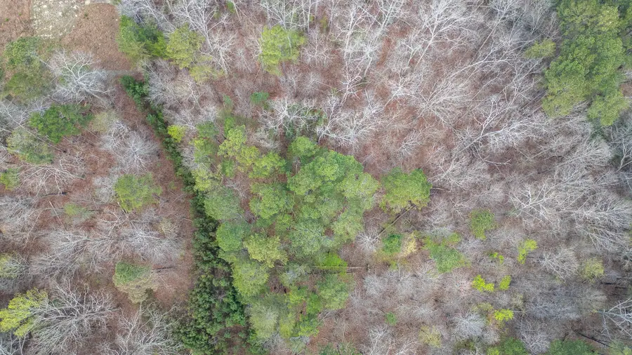 0 Castleberry Road, Lafayette, GA 30728 - #3