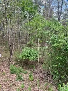 2624 Hixson Pike, Chattanooga, TN 37415 - #3