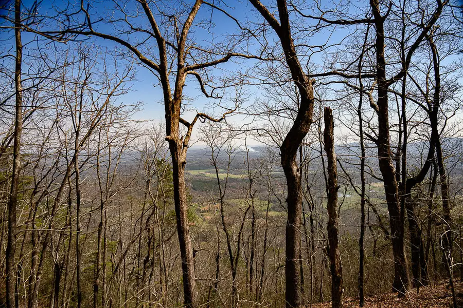 9045 Highway 157, Rising Fawn, GA 30738 - #2