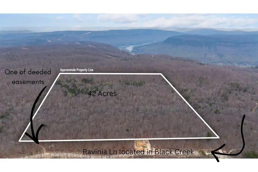 3916 Cummings Road, Chattanooga, TN 37419 - #2