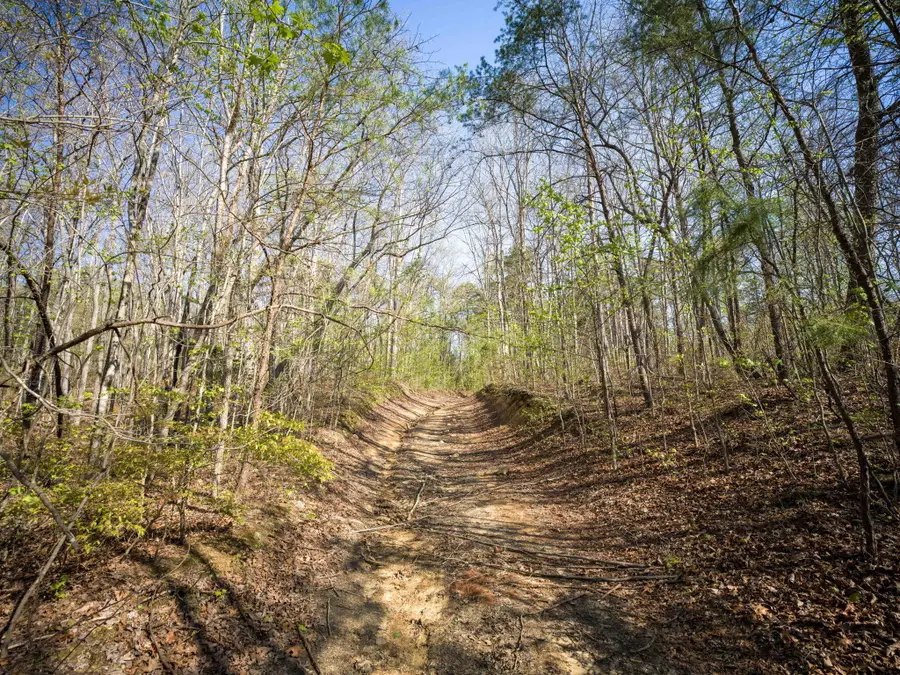 3916 Cummings Road, Chattanooga, TN 37419 - #3