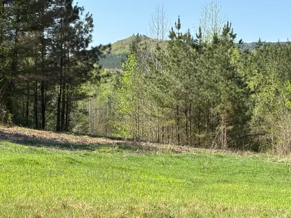 108 Leggett Road, Sale Creek, TN 37373