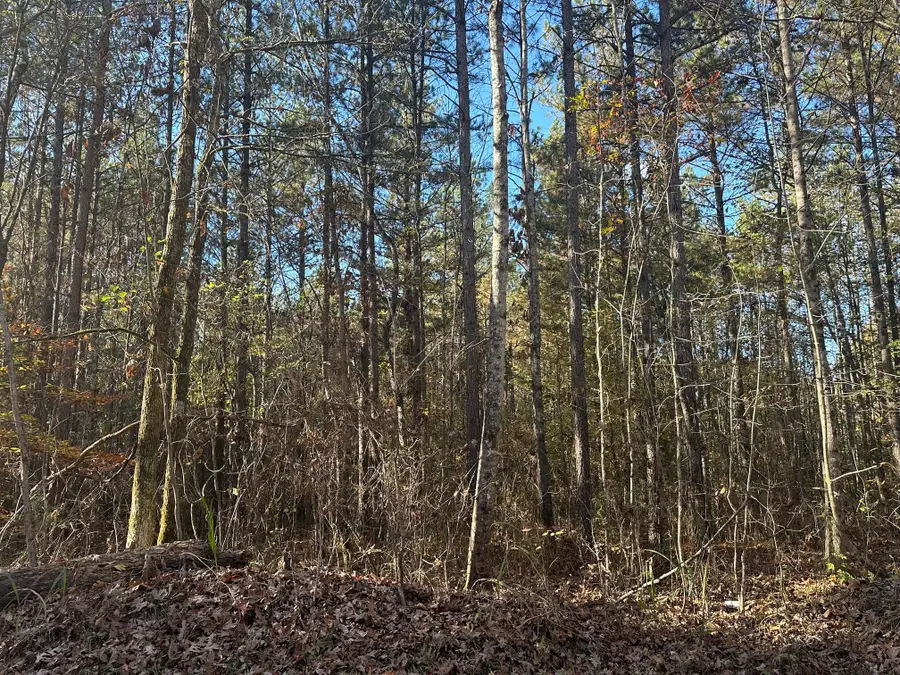 0 Redman Lane, Decatur, TN 37322 - #2