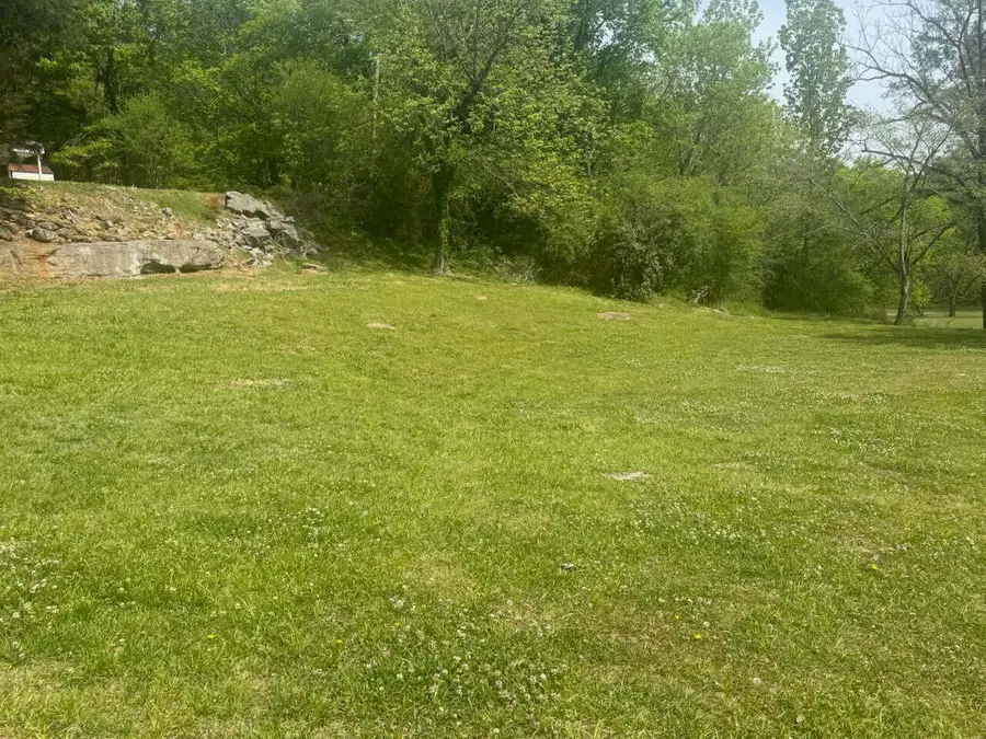 0 Cor Mtn & Hale Street, Stevenson, AL 35772 - #3