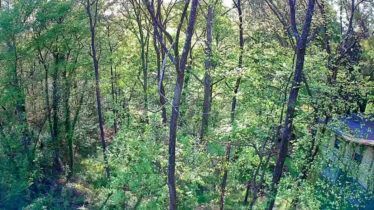 0 Walnut Street, Lafayette, GA 30728 - #1