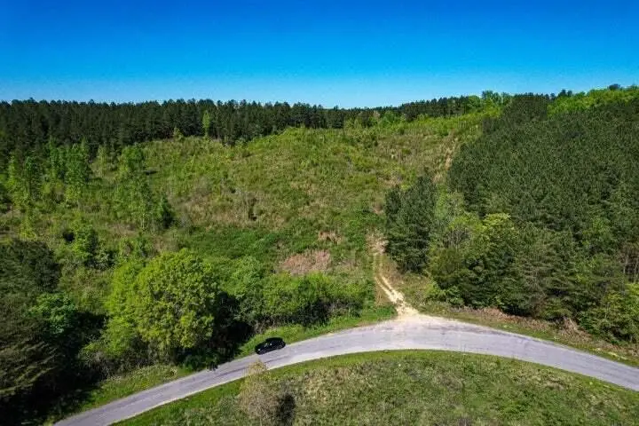 0 Sneed Road, Decatur, TN 37322 - #2