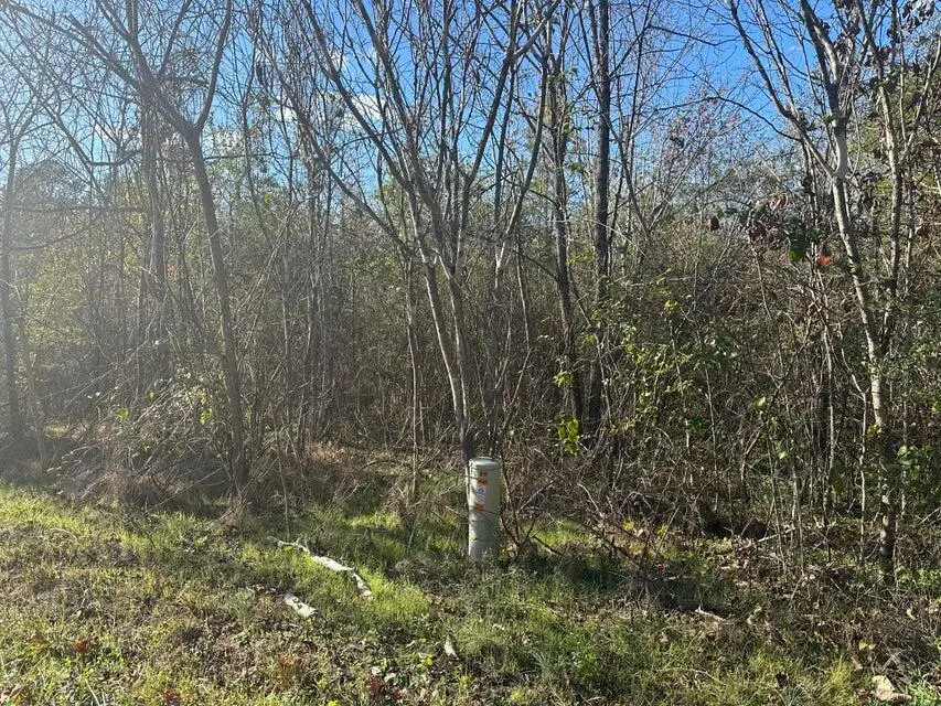 00 Mt Carmel Road, Decatur, TN 37322 - #1