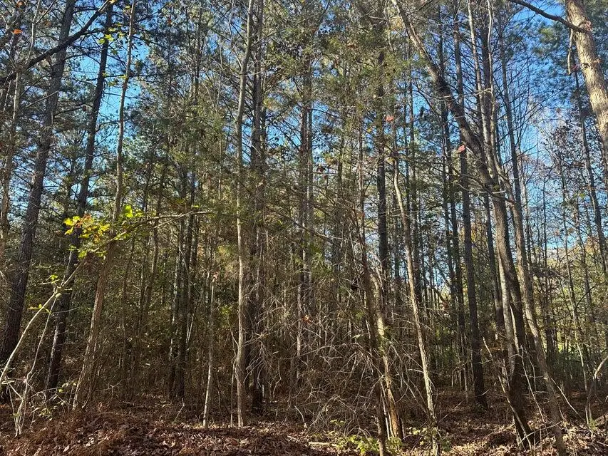 00 Mt Carmel Road, Decatur, TN 37322 - #2